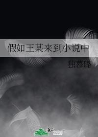 If Wang came to the novel