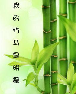 My Bamboo Horse is a Star