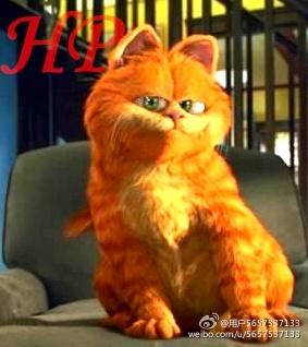 Garfield of HP