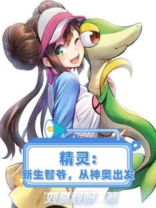 Pokémon: Ash the New Generation, Starting from Sinnoh