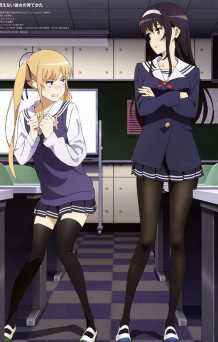 Is it a problem to have a harem in a stranger heroine?