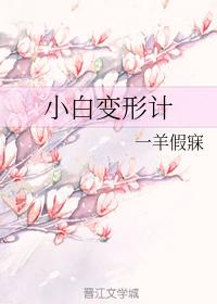 Xiaobai Deformation Meter